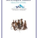 Mystique Hills Echinacea Root Powder (100 g)