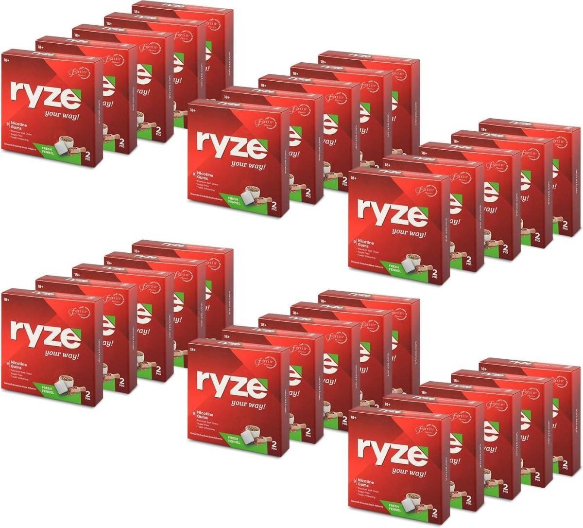 uk71bupdKZvL-1.jpg RYZE Nicotine Gum 2mg | Fresh fennel | Quitting Smoking & Chewing | Smoking Cessation |(9 Gums Each Pack) x Pack of 30 - Image 1