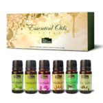 INDUS VALLEY 100% Pure Essential Oils Gift Pack - Peppermint oil,Lemongrass oil, Rosemary oil,Lavender oil,Eucalyptus oil,Tea Tree oil - 10ml * 6=60ml (Pack of 6) - Fast UK Delivery