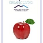 Mystique Hills Organic Apple Fruit Powder, 200 g