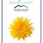 Mystique Hills - Organic Living Dandelion Flower Herbal Tea (100 g) - Fast UK Delivery