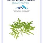 Mystique Hills Mugwort Powder (100 g)