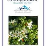 Mystique Hills Harsingar Leaves Herbal Tea, Parijat (100 g) - Fast UK Delivery