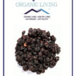 Mystique Hills Schisandra chinensis Berries Powder,50 g