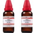 Dr. Willmar Schwabe India Rhus Toxicodendron 30 CH 30ml (Pack of 3) - Fast UK Delivery