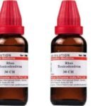 Dr. Willmar Schwabe India Rhus Toxicodendron 30 CH 30ml (Pack of 3) - Fast UK Delivery