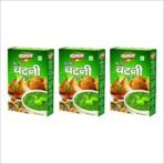 Chaman Pudina Chutney Masala Mix, 100 gm (Pack of 3) - Fast UK Delivery