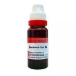 KRIG'S Dr Reckeweg Berberis Vulgaris Mother Tincture 20ml - ORIGINAL Imported_German- 30 DAYS PACK, liquid - Fast UK Delivery - Image 3