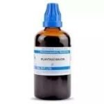 SBLC0 Plantago Major Q 100 ml || Shophomeo