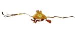 Kwality- Patmauri/Patwasir - 4 Pieces - Fast UK Delivery - Image 3