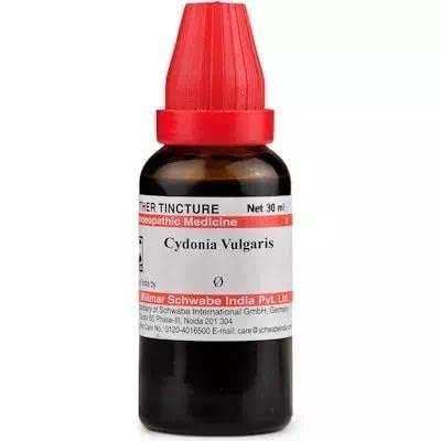 uk31B1xLix80L-3-1.jpg CYDONIA VULGARIS Q 30 ML by SCHWABE || Shophomeo - Image 1