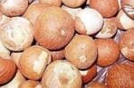 Kwality Natural & Pure Spices Betel Nuts Mouth Freshener | Mukhwash Brown Chota Supari Richness - 500 Gram | - Fast UK Delivery - Image 2
