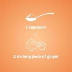 CURRYiT Preservative Free Ginger Paste 150gm | Thick & Coarse | Ready to Cook Adrak Cooking Paste| Fresh & Pure | Organically Processed Ginger paste (Pack of 3) - Fast UK Delivery - Image 7