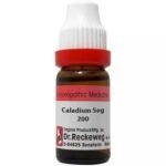 Dr. Reckeweg Caladium Seguinum 200 CH (11ml) || Set of 2