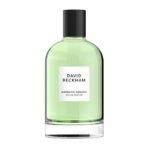 David Beckham Aromatic Greens Eau de Parfum 100ml - Fast UK Delivery - Image 2
