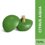 Eze ELATION Perfume for Men 75ml Premium Long Lasting Fragrance with Bergamot, Mandarin, Sandalwood & a Premium Blend of Herbs, Florals & Woods Bold Masculine Scent, Luxury Gift for Him - Fast UK Delivery - Image 3