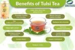 Organic Wellness Original Tulsi Tea 100 Gram Tin II Herbal Tulsi Tea II Green Tea - Fast UK Delivery - Image 3