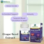 BestSource Nutrition's Grape Seed Extract, Botanical Antioxidant with 95% OPCs, for immunity and heart health, 60 Veg Capsules of 250mg each - Fast UK Delivery - Image 7