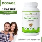 Attar Ayurveda Punarnava Capsules 350 mg - 60 capsules for Kidney Support | Support Digestion, Detoxify Body | Pure and Natural | Non-GMO - Fast UK Delivery - Image 6