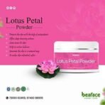 Beaface Lotus Petal Powder for Face & Skin. Reduces Blackheads & Acne Fairer Complexion - Radiance & Glow Hair Skin (50 Gm) - Image 4