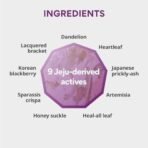 Innisfree Perfect 9 Intensive Anti-aging Serum 50ml for all skin types - Fast UK Delivery - Image 6