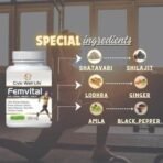 Fem Vital 60 Capsule Civic Welllife FemmeVital Harmony Capsules Boost in stamina and vitality - Fast UK Delivery - Image 4