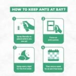 Born Good Natural Ant Repellent Spray | 100ml | Plant-Based, Biodegradable, Non-Toxic, Eco-Friendly, Organic, Herbal - Fast UK Delivery - Image 6
