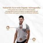 Maharishi Ayurveda Organic Ashwagandha | 100% Organic| General Wellness Tablets| Rejuvenates Mind & Body | Made with Pure Herbs | 120 Tablets (Pack of 2) - Fast UK Delivery - Image 3