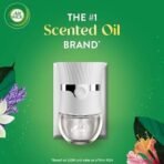 Air Wick Plug in Scented Oil 10 Refills, Lavender & Chamomile, Eco Friendly, Essential Oils, Air Freshener - Fast UK Delivery - Image 3