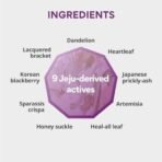 Innisfree Perfect 9 Intensive Repair Skin Anti-aging Toner 200ml with 9 active Jeju ingredients - Fast UK Delivery - Image 6