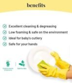 Born Good Plant Based Spanish Citrus Fragrance Dishwash Gel And Arctic Air Fragrance Toilet Bowl Cleaner Toxin-free, Skin-Safe And Pet-safe - 500 ml each (Combo Pack of 2) - Fast UK Delivery - Image 4