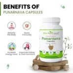 Attar Ayurveda Punarnava Capsules 350 mg - 60 capsules for Kidney Support | Support Digestion, Detoxify Body | Pure and Natural | Non-GMO - Fast UK Delivery - Image 4