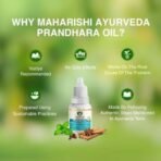 Maharishi Ayurveda Prandhara- Ayurvedic Oil For Common Ailments|For Nasal Congestion, Headache & Toothache|Relief From Cold, Cough, Blocked Nose, Headache, Body Ache|3Ml - Pack Of 6 - Fast UK Delivery - Image 6