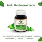 Maharishi Ayurveda Organic Tulsi Tablets | For Respiratory Wellness | Holy Basil | Provides relief in Cough & Cold | Natural Immunity Booster| 100% Organic | 60 Tabs (Pack of 1) - Fast UK Delivery - Image 5