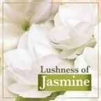 LUX Velvet Glow Jasmine & Vitamin E for Glowing Skin Beauty Soap Offer Pack 8x150 g - Fast UK Delivery - Image 5