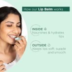 Bella Vita Organic Natural LipBalm for Dry Damaged & Chapped Lips Enriched with Shea Butter, Avocado 4 gm - Fast UK Delivery - Image 5