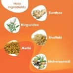 Arthrohills Ayurvedic Pain Relief Capsules- 900 Capsule (Pack of 5) - Fast UK Delivery - Image 6