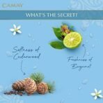 Camay Natural International Beauty Bar| Beauty Bathing Soap| Fresh Fragrance| For All Skin Types 125g|PO10 - Fast UK Delivery - Image 7