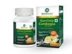 BestSource Garcinia Cambogia Extract, 60% HCA for weight loss support for optimal metabolism, 60 Veg Caps, 500mg each - Fast UK Delivery - Image 2