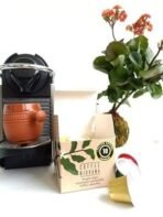 Coffee Nirvana, South Indian Filter Coffee, Box of 10, Nespresso Compatible Aluminum Capsules - Fast UK Delivery - Image 5