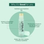 Bella Vita Organic Natural LipBalm for Dry Damaged & Chapped Lips Enriched with Shea Butter, Avocado 4 gm - Fast UK Delivery - Image 4
