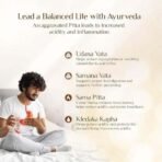 MAHARISHI AYURVEDA Amlant Acid Balance Management- Pack of 4 x 10 * 6 Tab - Fast UK Delivery - Image 3