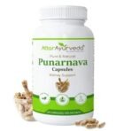 Attar Ayurveda Punarnava Capsules 350 mg - 60 capsules for Kidney Support | Support Digestion, Detoxify Body | Pure and Natural | Non-GMO - Fast UK Delivery - Image 2