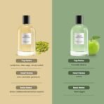 David Beckham Refined Woods 100ml + Aromatic Greens 100ml Eau de Parfum (Pack of 2) - Fast UK Delivery - Image 5