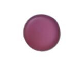 Arth Naturals Watermelon Delight Lip Balm- Natural Ingredients- Organic- Vegan- Halal Product-Unisex-8Gms- Shea Butter with Vit E- Cruelty Free- Non Alcoholic-Pink Lips-LIp Mask. - Fast UK Delivery