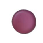 Arth Naturals Watermelon Delight Lip Balm- Natural Ingredients- Organic- Vegan- Halal Product-Unisex-8Gms- Shea Butter with Vit E- Cruelty Free- Non Alcoholic-Pink Lips-LIp Mask. - Fast UK Delivery