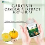 BestSource Garcinia Cambogia Extract, 60% HCA for weight loss support for optimal metabolism, 60 Veg Caps, 500mg each - Fast UK Delivery - Image 6