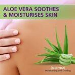 BoroPlus Antiseptice & Moisturising Soap - Neem Tulsi Aloevera (Buy 3 get 1 Free) Pack of 4 - Fast UK Delivery - Image 7