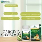 BestSource Garcinia Cambogia Extract, 60% HCA for weight loss support for optimal metabolism, 60 Veg Caps, 500mg each - Fast UK Delivery - Image 7