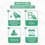 Born Good Plant Based Cockroach Repellent Spray For Home, Non-Toxic, Baby-Safe And Eco-Friendly - 100 ml (Pack of 1) - Fast UK Delivery - Image 6